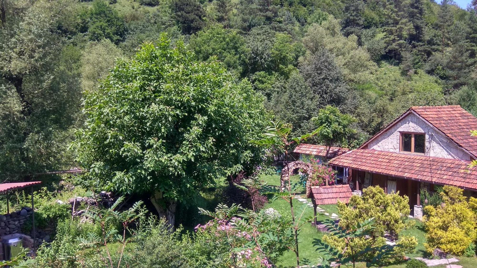 Eco Garden Bed & Breakfast Dilijan Exterior foto